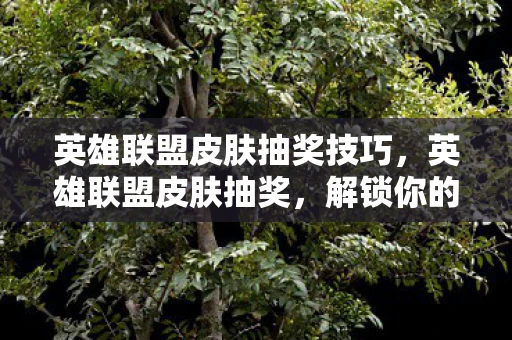 英雄联盟皮肤抽奖技巧,英雄联盟皮肤抽奖,解锁你的游戏个性 英雄联盟皮肤抽奖技巧,英雄联盟皮肤抽奖,解锁你的游戏个性