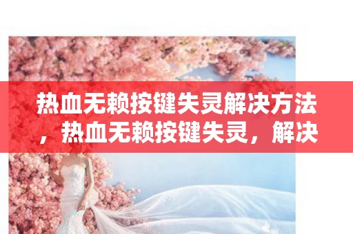 热血无赖按键失灵解决方法，热血无赖按键失灵，解决之道与游戏心得