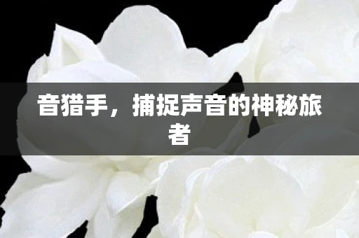 音猎手,捕捉声音的神秘旅者 音猎手,捕捉声音的神秘旅者
