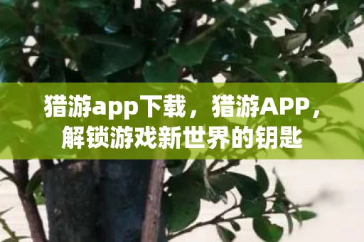 猎游app下载，猎游APP，解锁游戏新世界的钥匙