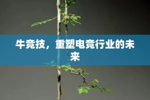 牛竞技，重塑电竞行业的未来