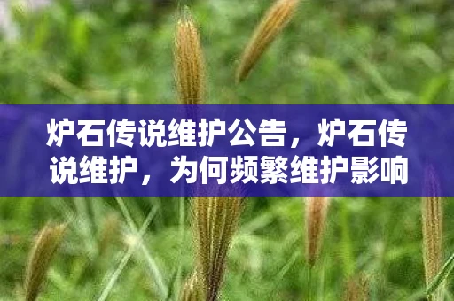 炉石传说维护公告,炉石传说维护,为何频繁维护影响玩家体验? 炉石传说维护公告,炉石传说维护,为何频繁维护影响玩家体验?