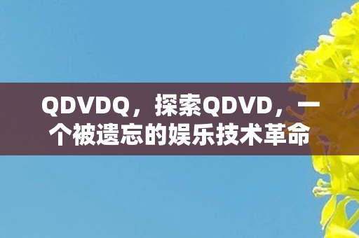 QDVDQ,探索QDVD,一个被遗忘的娱乐技术革命 QDVDQ,探索QDVD,一个被遗忘的娱乐技术革命