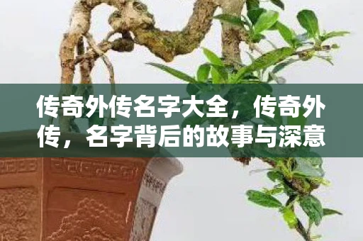 传奇外传名字大全，传奇外传，名字背后的故事与深意