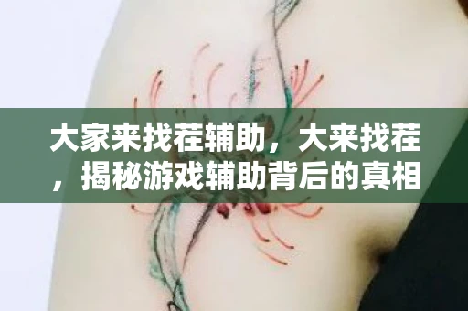 大家来找茬辅助，大来找茬，揭秘游戏辅助背后的真相