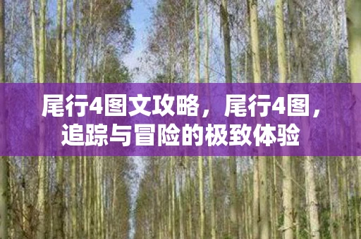 尾行4图文攻略，尾行4图，追踪与冒险的极致体验