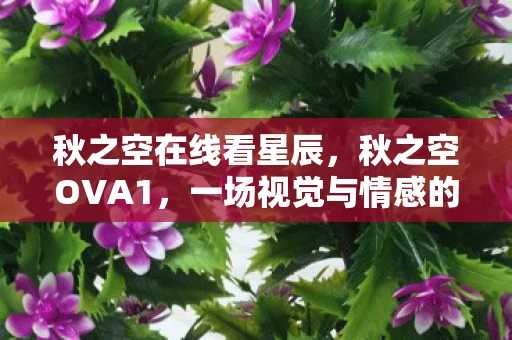 秋之空在线看星辰，秋之空OVA1，一场视觉与情感的盛宴