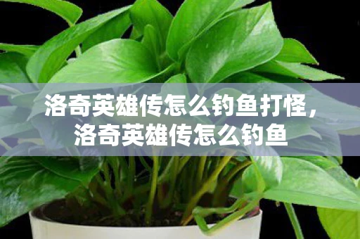 洛奇英雄传怎么钓鱼打怪,洛奇英雄传怎么钓鱼 洛奇英雄传怎么钓鱼打怪,洛奇英雄传怎么钓鱼