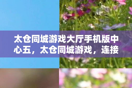 太仓同城游戏大厅手机版中心五,太仓同城游戏,连接你我,共享欢乐 太仓同城游戏大厅手机版中心五,太仓同城游戏,连接你我,共享欢乐