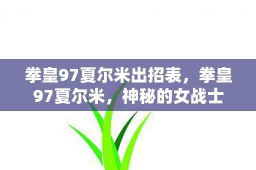 拳皇97夏尔米出招表，拳皇97夏尔米，神秘的女战士