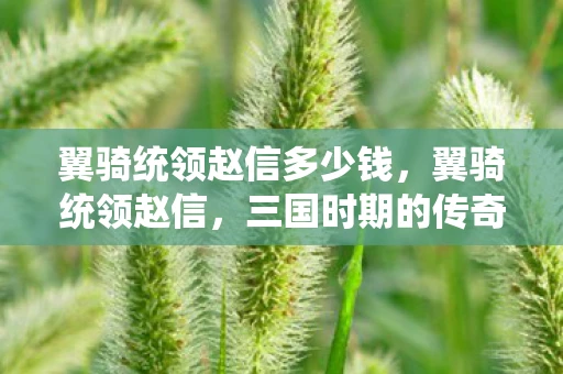 翼骑统领赵信多少钱,翼骑统领赵信,三国时期的传奇英雄 翼骑统领赵信多少钱,翼骑统领赵信,三国时期的传奇英雄