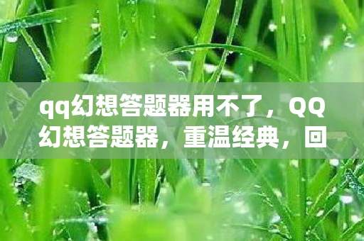 qq幻想答题器用不了,QQ幻想答题器,重温经典,回忆童年 qq幻想答题器用不了,QQ幻想答题器,重温经典,回忆童年