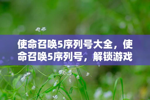 使命召唤5序列号大全，使命召唤5序列号，解锁游戏新世界的钥匙