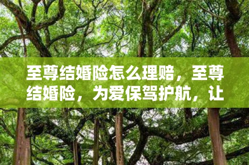 至尊结婚险怎么理赔，至尊结婚险，为爱保驾护航，让婚姻更加稳固