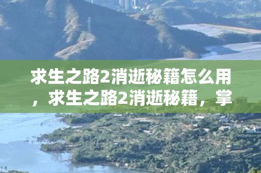 求生之路2消逝秘籍怎么用,求生之路2消逝秘籍,掌握这些技巧,助你轻松通关 求生之路2消逝秘籍怎么用,求生之路2消逝秘籍,掌握这些技巧,助你轻松通关