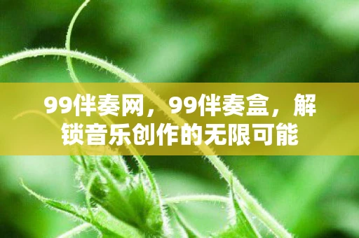 99伴奏网,99伴奏盒,解锁音乐创作的无限可能 99伴奏网,99伴奏盒,解锁音乐创作的无限可能