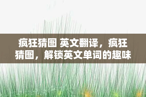 疯狂猜图 英文翻译，疯狂猜图，解锁英文单词的趣味之旅