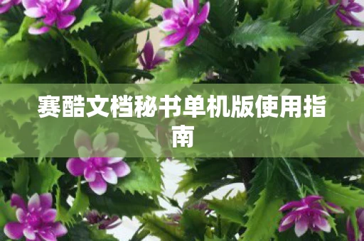 赛酷文档秘书单机版使用指南图片