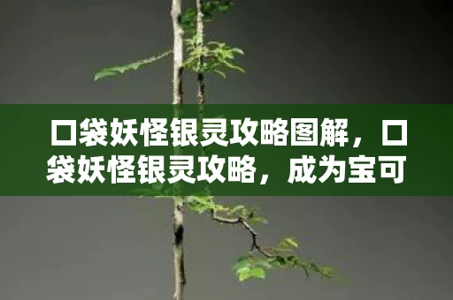 口袋妖怪银灵攻略图解，口袋妖怪银灵攻略，成为宝可梦大师的全面指南