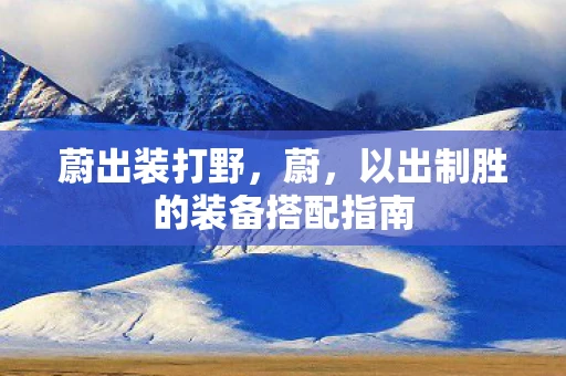 蔚出装打野，蔚，以出制胜的装备搭配指南