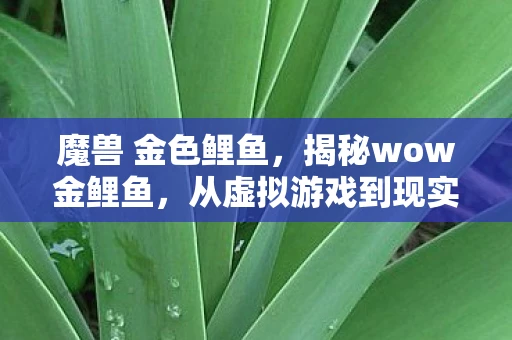 魔兽 金色鲤鱼,揭秘wow金鲤鱼,从虚拟游戏到现实财富的神话 魔兽 金色鲤鱼,揭秘wow金鲤鱼,从虚拟游戏到现实财富的神话