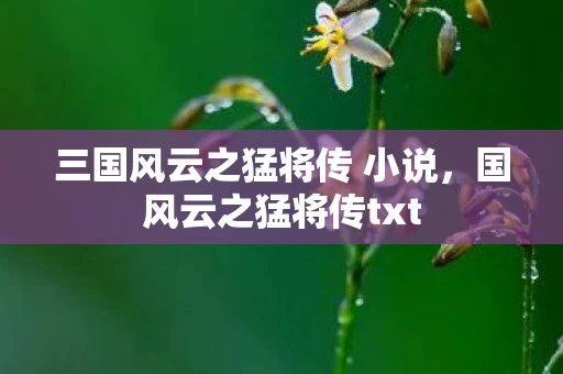 三国风云之猛将传 小说，国风云之猛将传txt