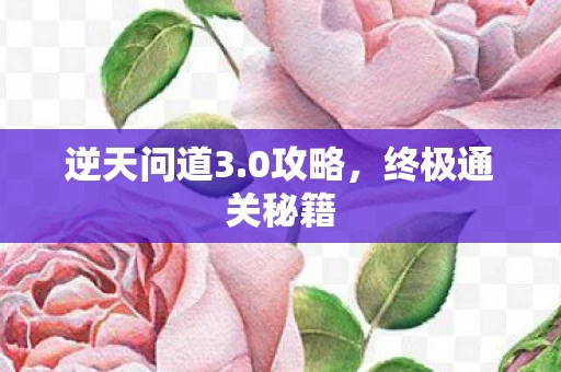 终极通关秘籍图片