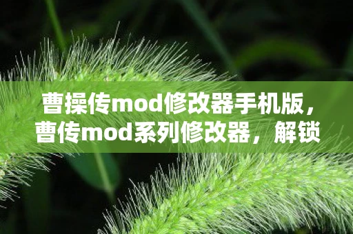 曹操传mod修改器手机版，曹传mod系列修改器，解锁游戏新体验