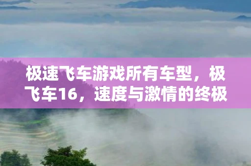 极速飞车游戏所有车型,极飞车16,速度与激情的终极盛宴 极速飞车游戏所有车型,极飞车16,速度与激情的终极盛宴