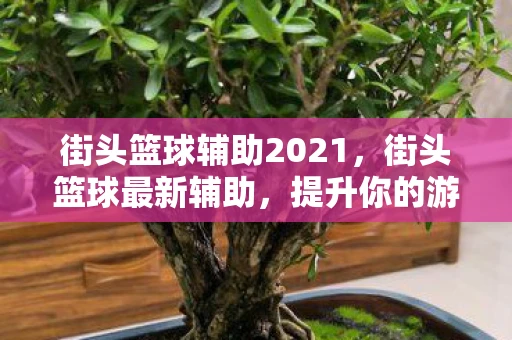 街头篮球辅助2021，街头篮球最新辅助，提升你的游戏水平