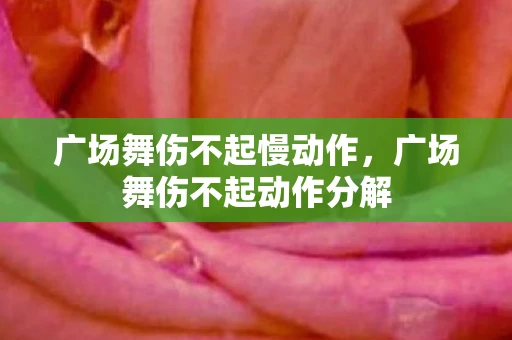 广场舞伤不起慢动作，广场舞伤不起动作分解