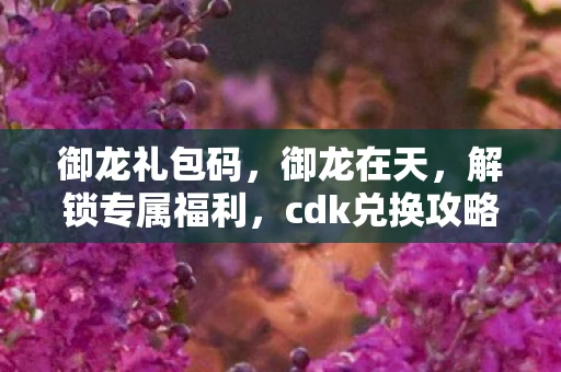 御龙礼包码，御龙在天，解锁专属福利，cdk兑换攻略大放送！