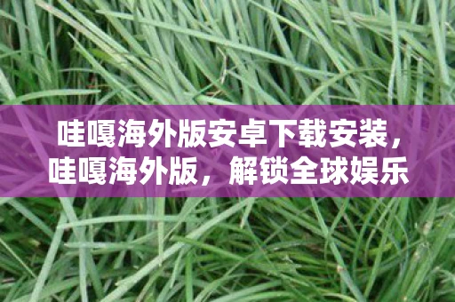 哇嘎海外版安卓下载安装,哇嘎海外版,解锁全球娱乐新体验 哇嘎海外版安卓下载安装,哇嘎海外版,解锁全球娱乐新体验