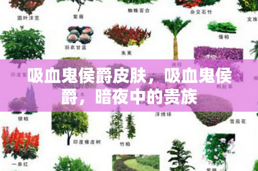 吸血鬼侯爵皮肤，吸血鬼侯爵，暗夜中的贵族