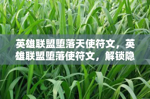 英雄联盟堕落天使符文，英雄联盟堕落使符文，解锁隐藏力量的神秘符文