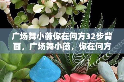 广场舞小薇你在何方32步背面，广场舞小薇，你在何方？