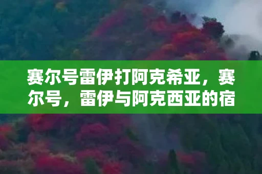 赛尔号雷伊打阿克希亚，赛尔号，雷伊与阿克西亚的宿命对决