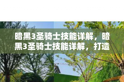 暗黑3圣骑士技能详解，暗黑3圣骑士技能详解，打造无敌圣光的守护者