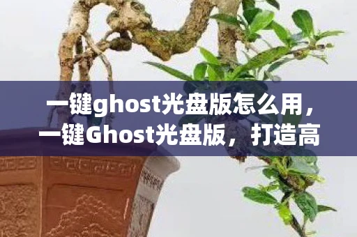 一键ghost光盘版怎么用，一键Ghost光盘版，打造高效备份与还原的利器