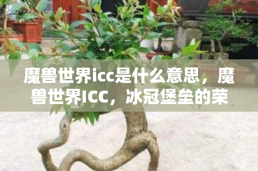 魔兽世界icc是什么意思，魔兽世界ICC，冰冠堡垒的荣耀与挑战