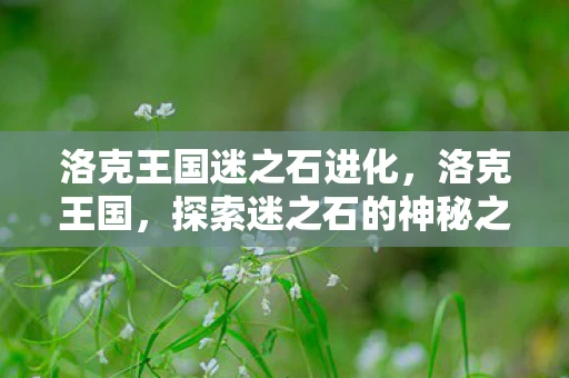 洛克王国迷之石进化，洛克王国，探索迷之石的神秘之旅