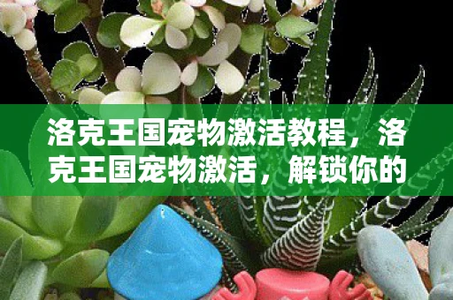 洛克王国宠物激活教程，洛克王国宠物激活，解锁你的专属小伙伴