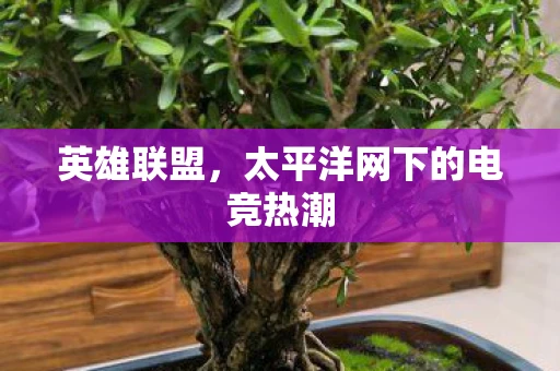 英雄联盟,太平洋网下的电竞热潮 英雄联盟,太平洋网下的电竞热潮