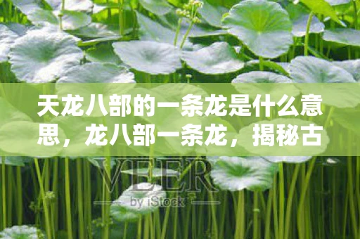 天龙八部的一条龙是什么意思，龙八部一条龙，揭秘古老传说中的神秘之旅