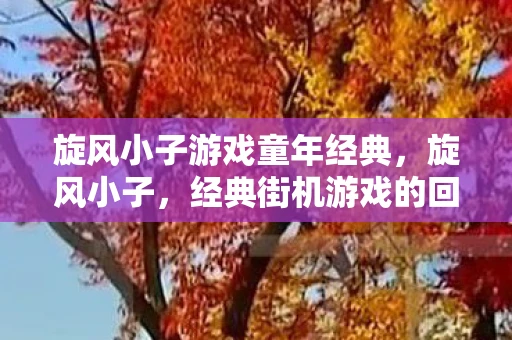 旋风小子游戏童年经典，旋风小子，经典街机游戏的回忆与传承