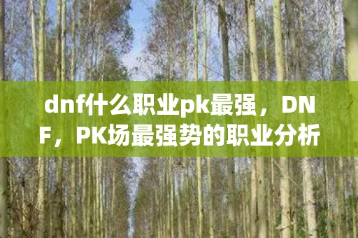 dnf什么职业pk最强，DNF，PK场最强势的职业分析