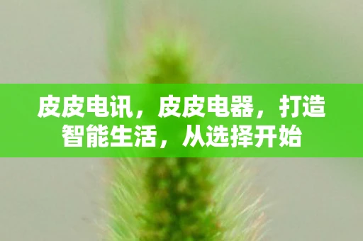 皮皮电讯，皮皮电器，打造智能生活，从选择开始