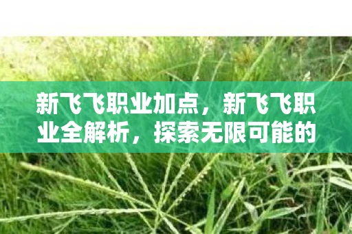 新飞飞职业加点,新飞飞职业全解析,探索无限可能的冒险之旅 新飞飞职业加点,新飞飞职业全解析,探索无限可能的冒险之旅