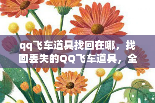qq飞车道具找回在哪,找回丢失的QQ飞车道具,全面指南 qq飞车道具找回在哪,找回丢失的QQ飞车道具,全面指南
