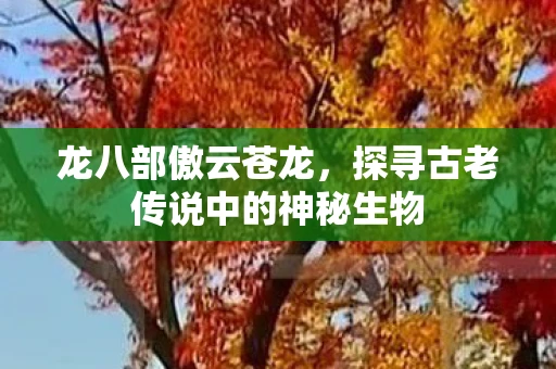龙八部傲云苍龙，探寻古老传说中的神秘生物
